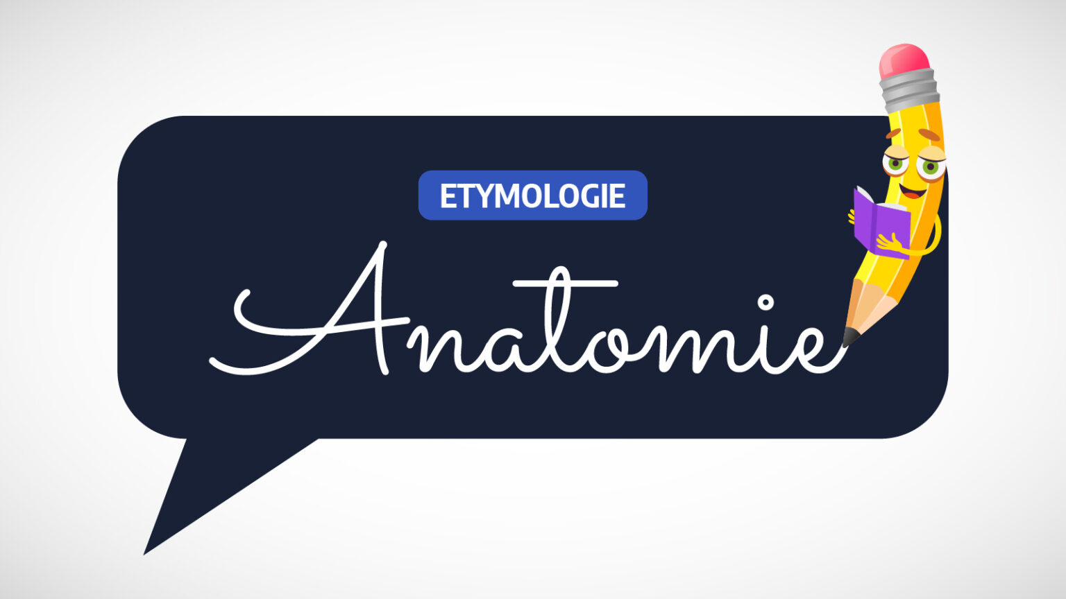 Anatomie: Etymologie