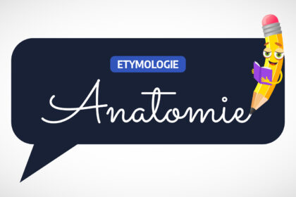 Anatomie: Etymologie